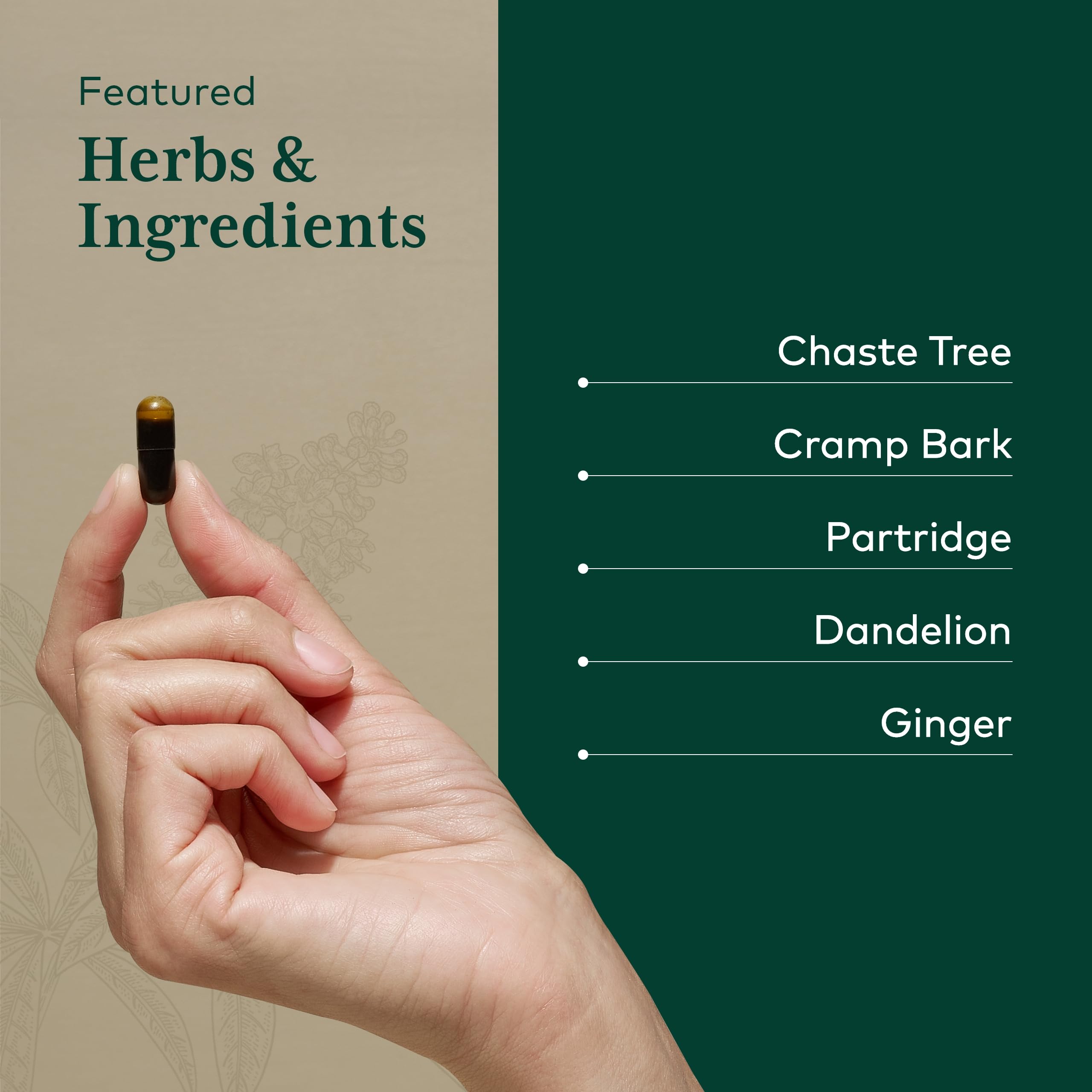 Gaia Herbs PRO Vitex Reproductive Formula dandelion root close-up suggests natural detox support.