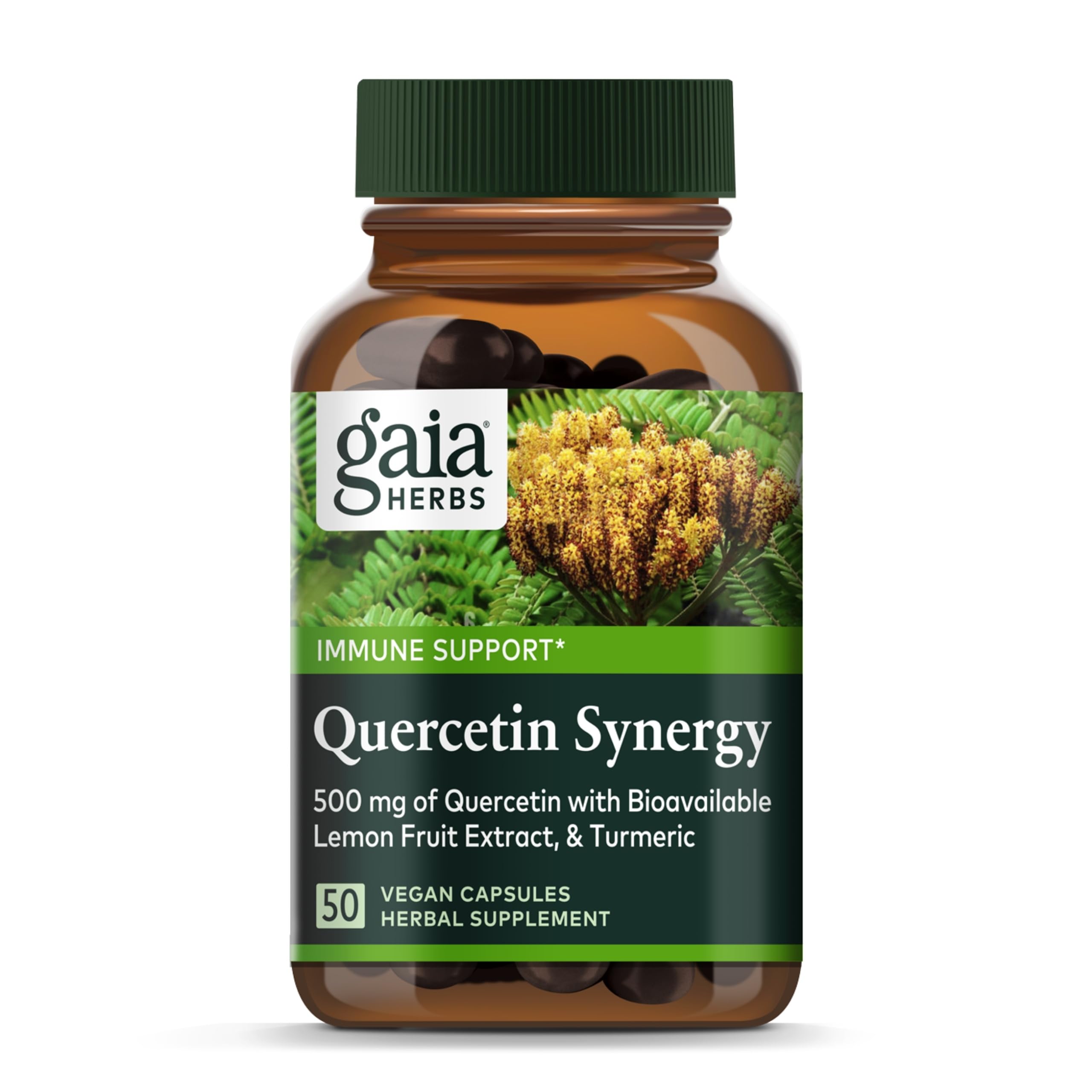 Gaia Herbs Quercetin Synergy bottle front view for daily wellness support