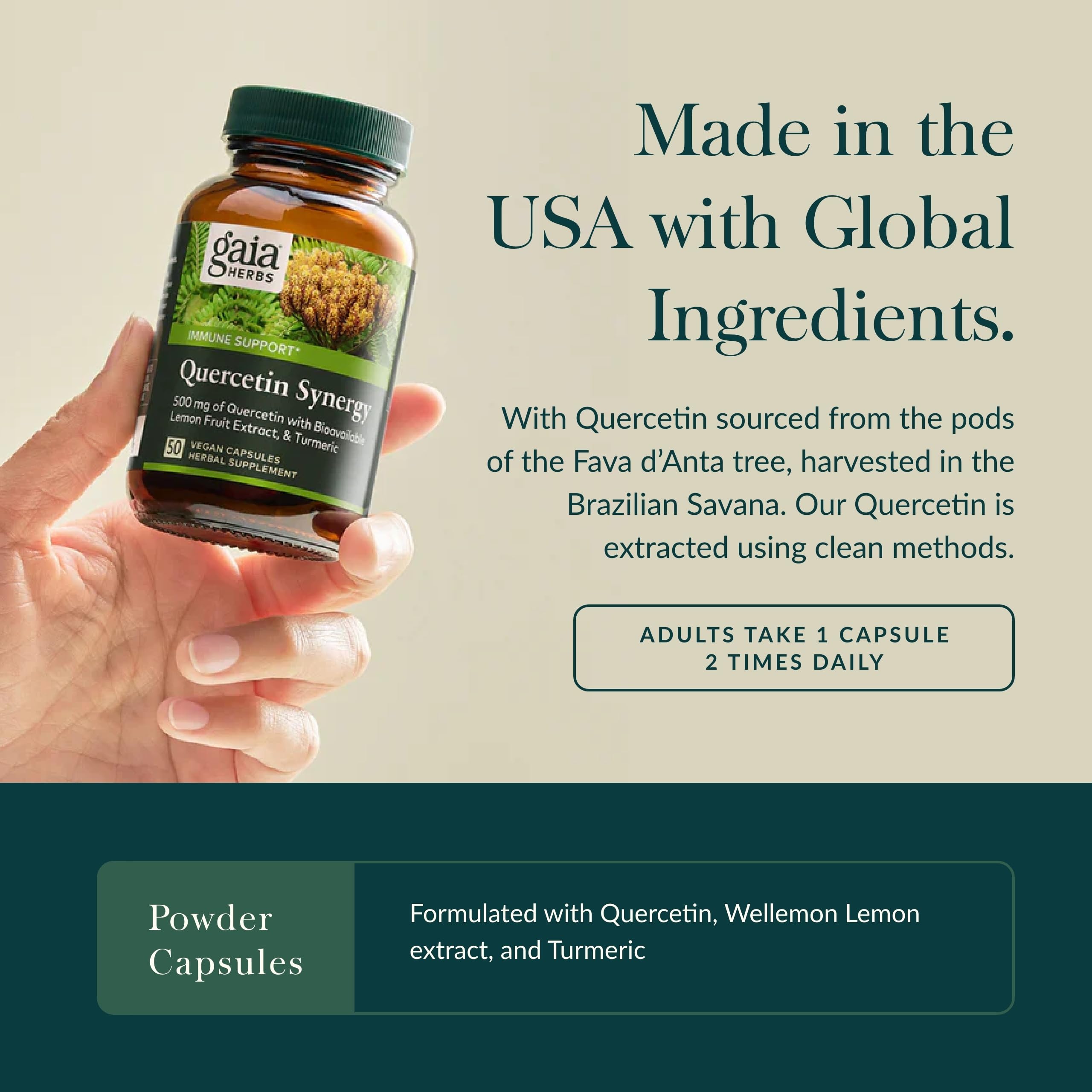 Gaia Herbs Quercetin Synergy ingredient blend featuring quercetin, lemon extract, turmeric