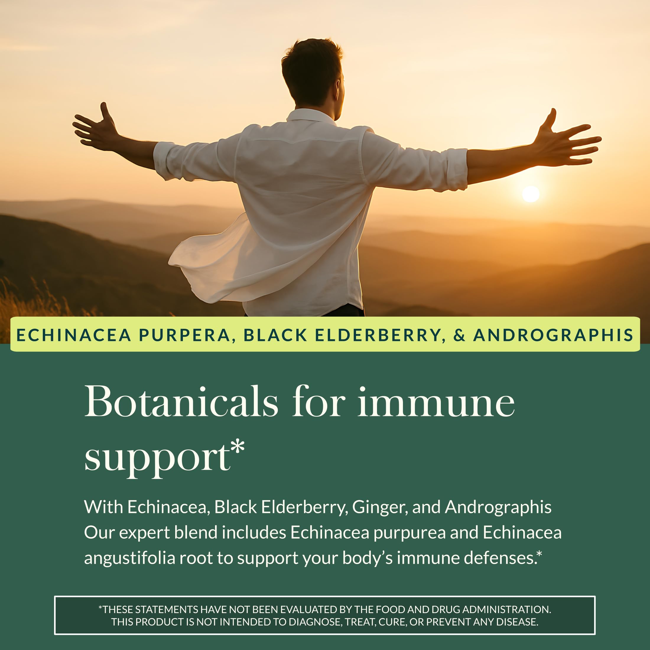 Echinacea illustration with Gaia Herbs Quick Defense
