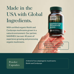 Gaia Herbs Reishi and Cordyceps mushrooms close-up in the blend.