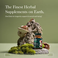 Gaia Herbs Reishi Mushroom capsules for vegan daily wellness support