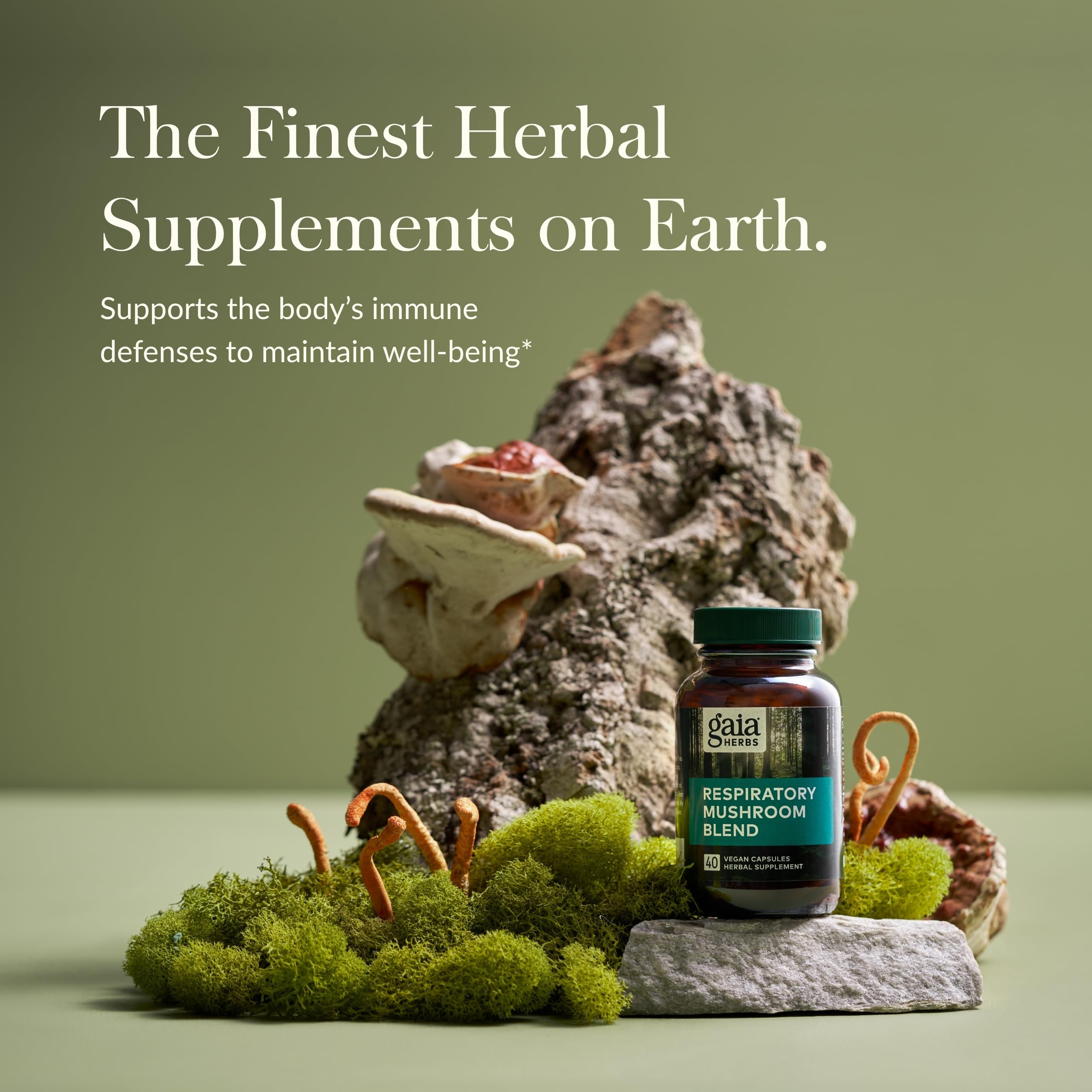Gaia Herbs label close-up highlights Reishi and Cordyceps in the blend.