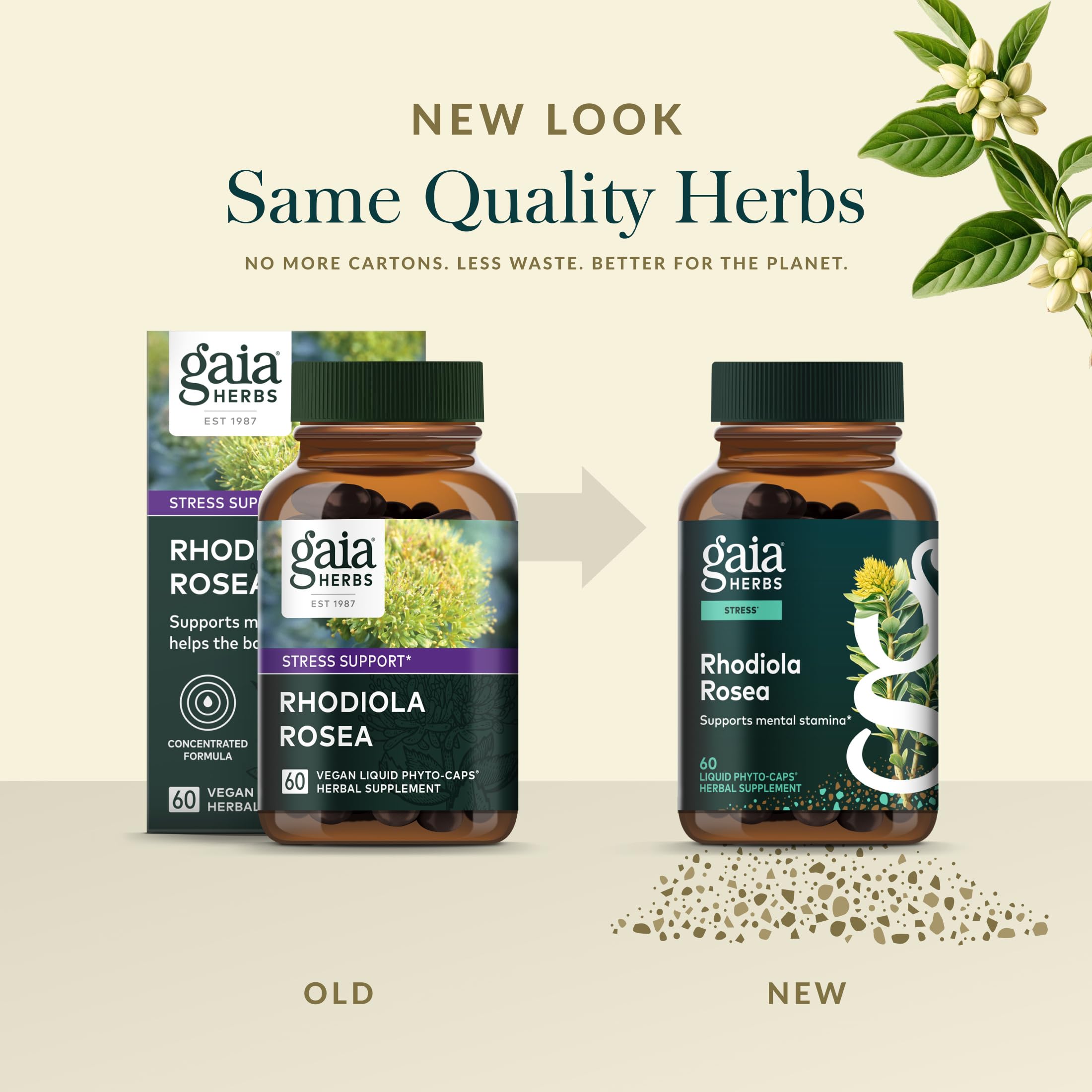 Active ingredient close-up indicating premium Rhodiola extract quality.
