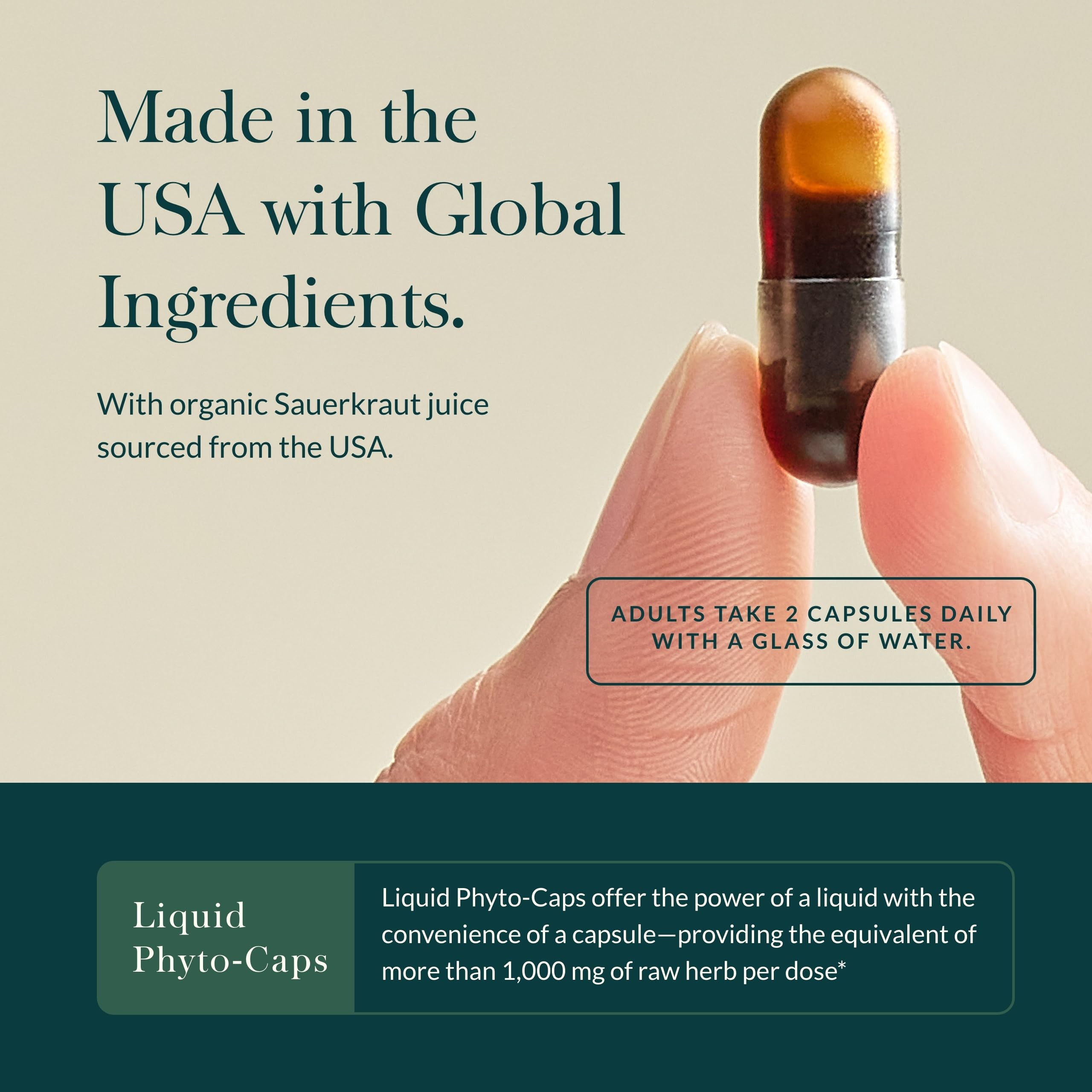 Gaia Herbs Sauerkraut Postbiotic fermentation close-up suggests natural ingredients.