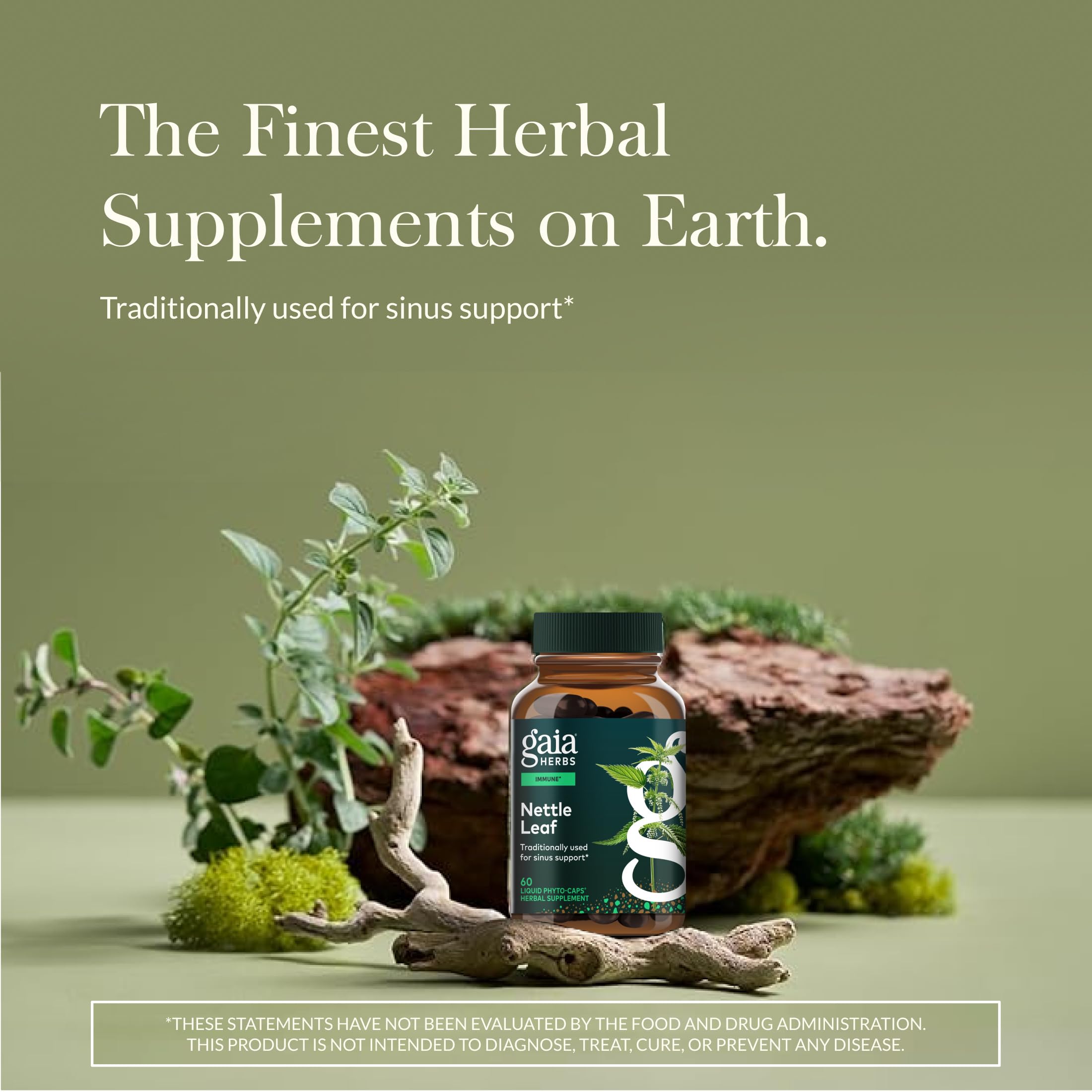 Gaia Herbs Stinging Nettle Leaf capsules for easy daily immune support.