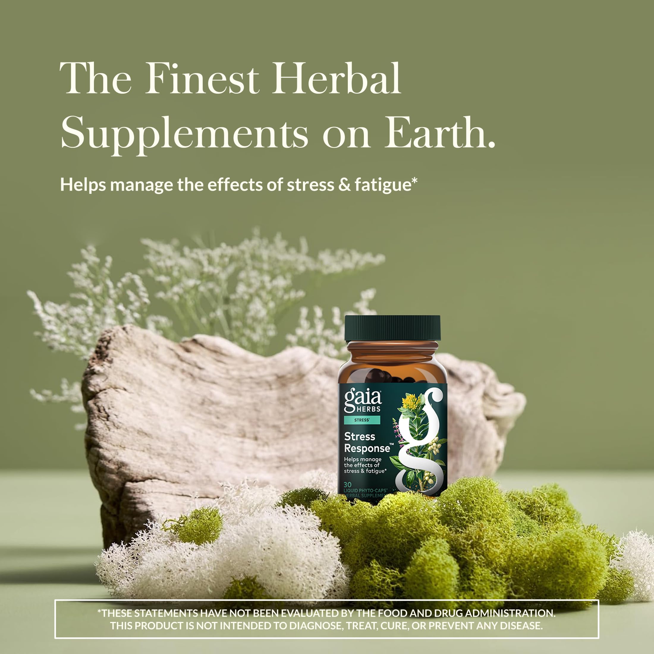 Gaia Herbs Stress Response ingredients close-up with Rhodiola and Ashwagandha