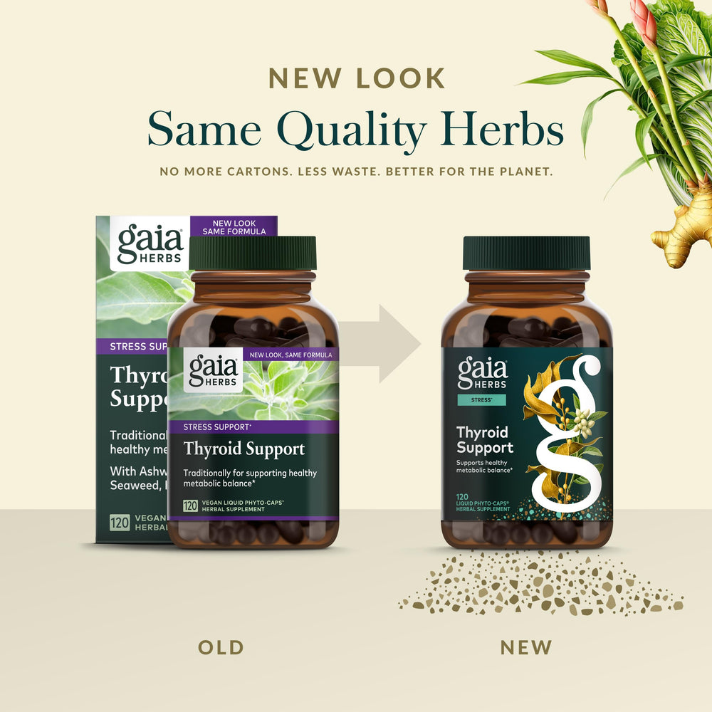 Gaia Herbs Thyroid Support close-up of schisandra ingredients