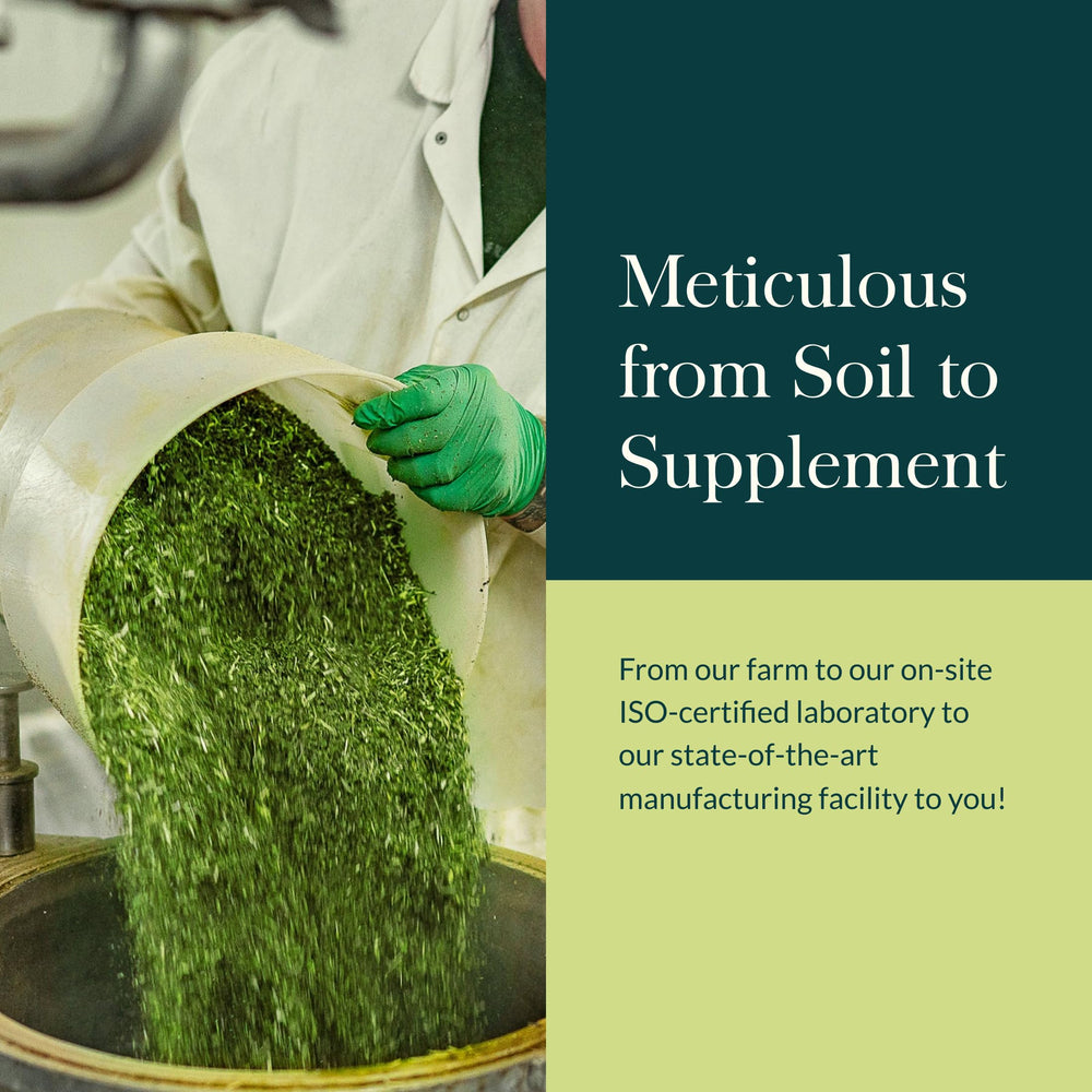 Pouring capsules from the bottle suggests easy daily dosing