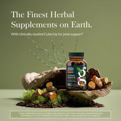 Gaia Herbs Turmeric Supreme Joint Health capsules ready for daily intake