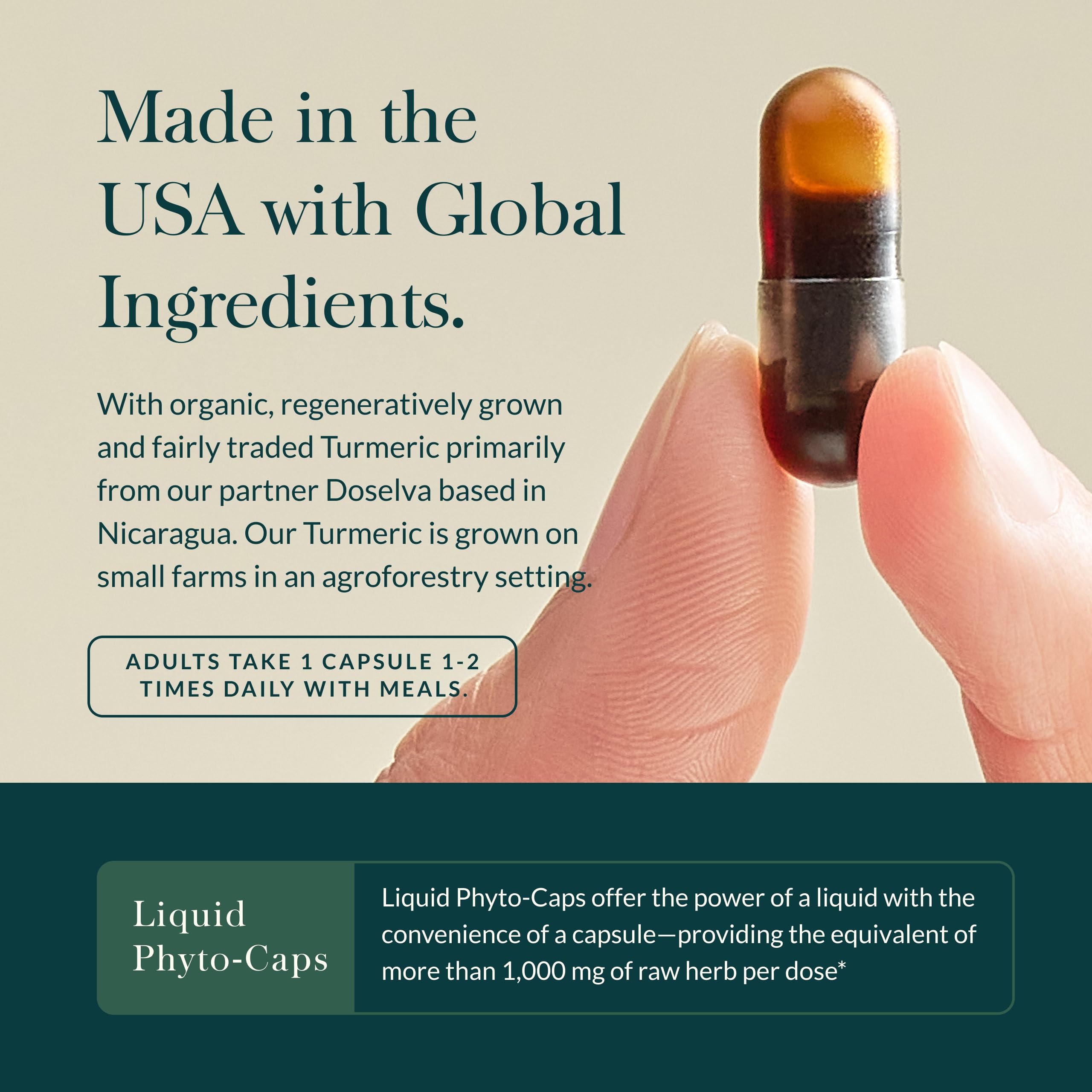 Organic turmeric root used in Turmeric Supreme for authentic whole-root formulation