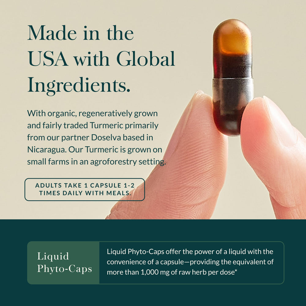 Organic turmeric root used in Turmeric Supreme for authentic whole-root formulation