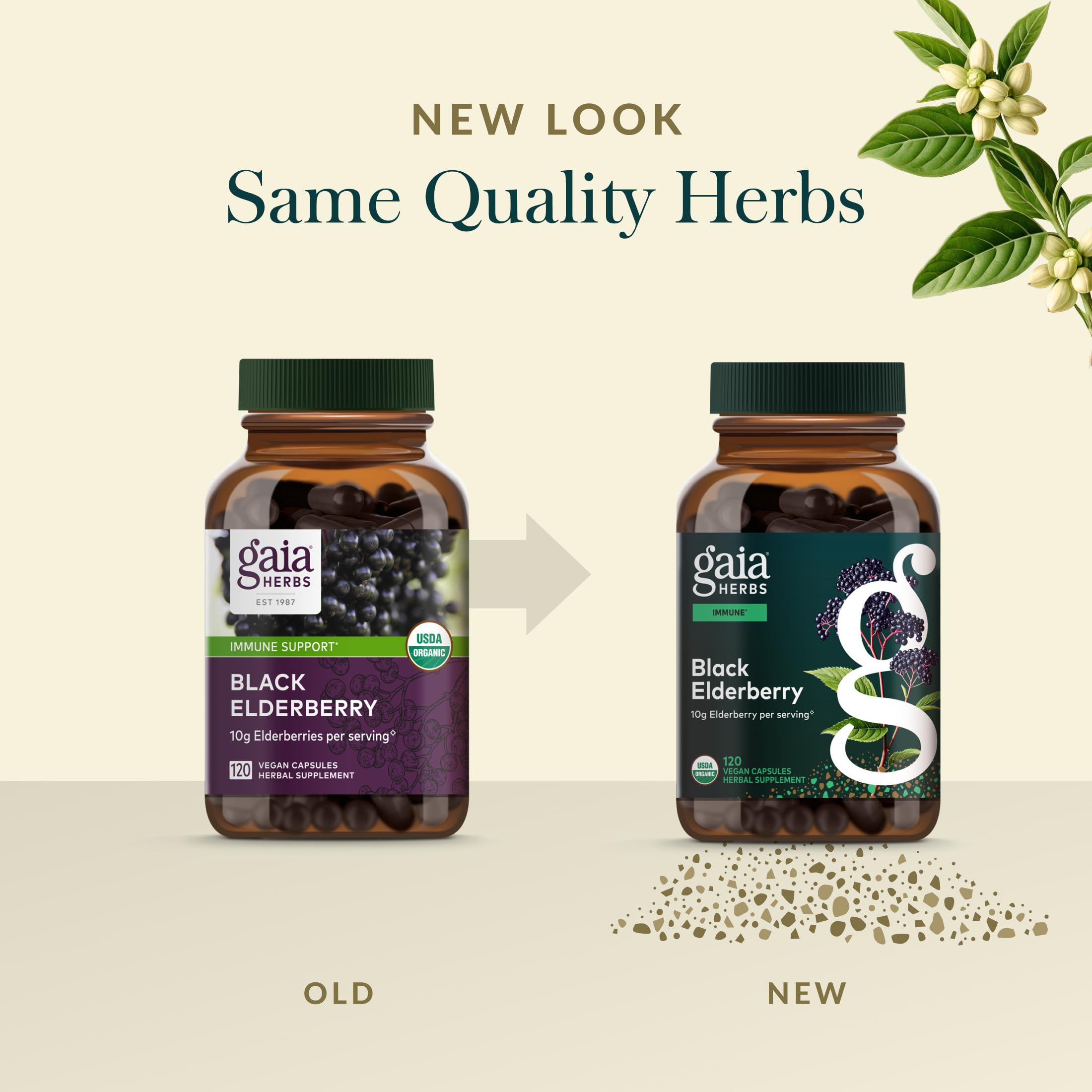 Gaia Herbs vegan capsules arranged to illustrate plant-based wellness.