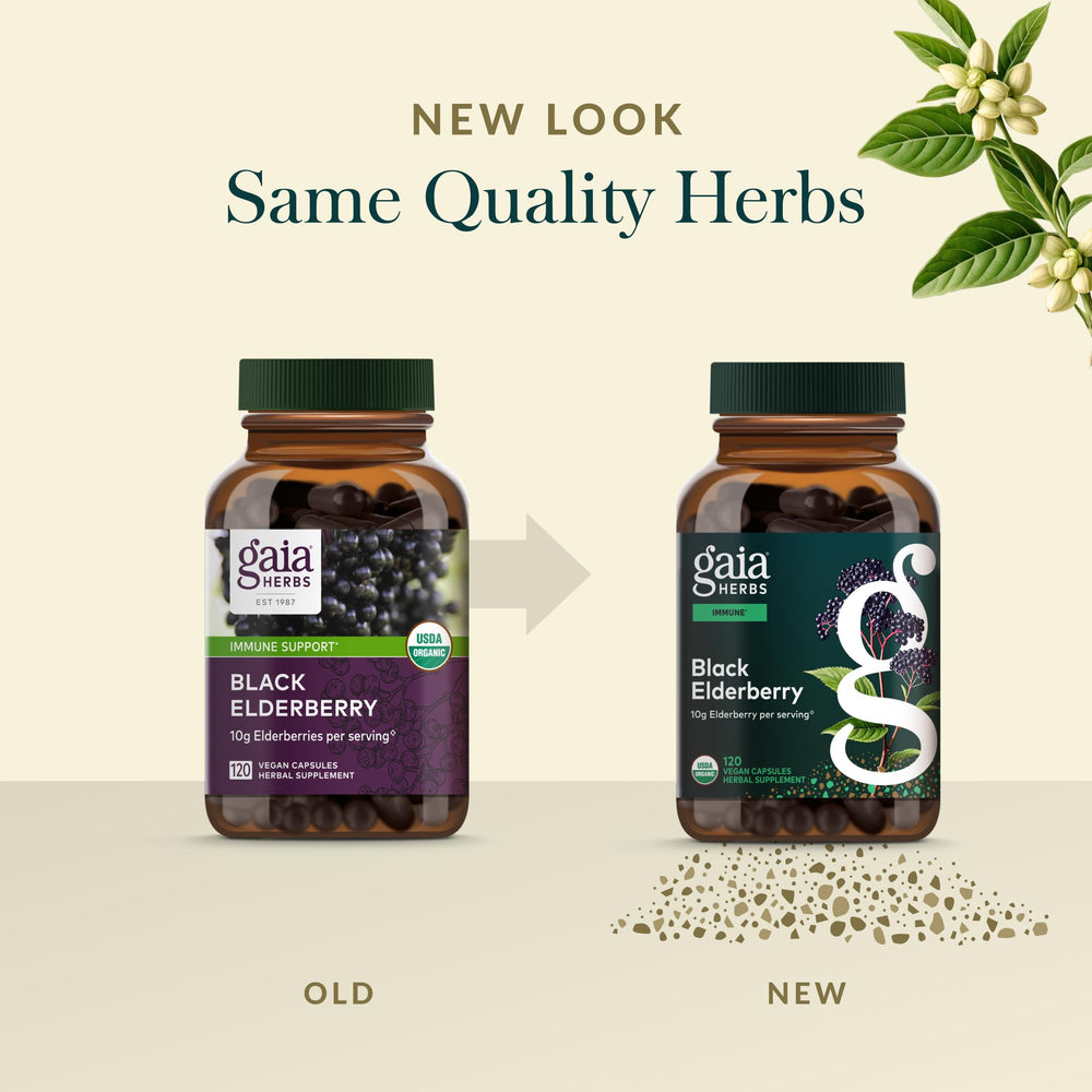 Gaia Herbs vegan capsules arranged to illustrate plant-based wellness.