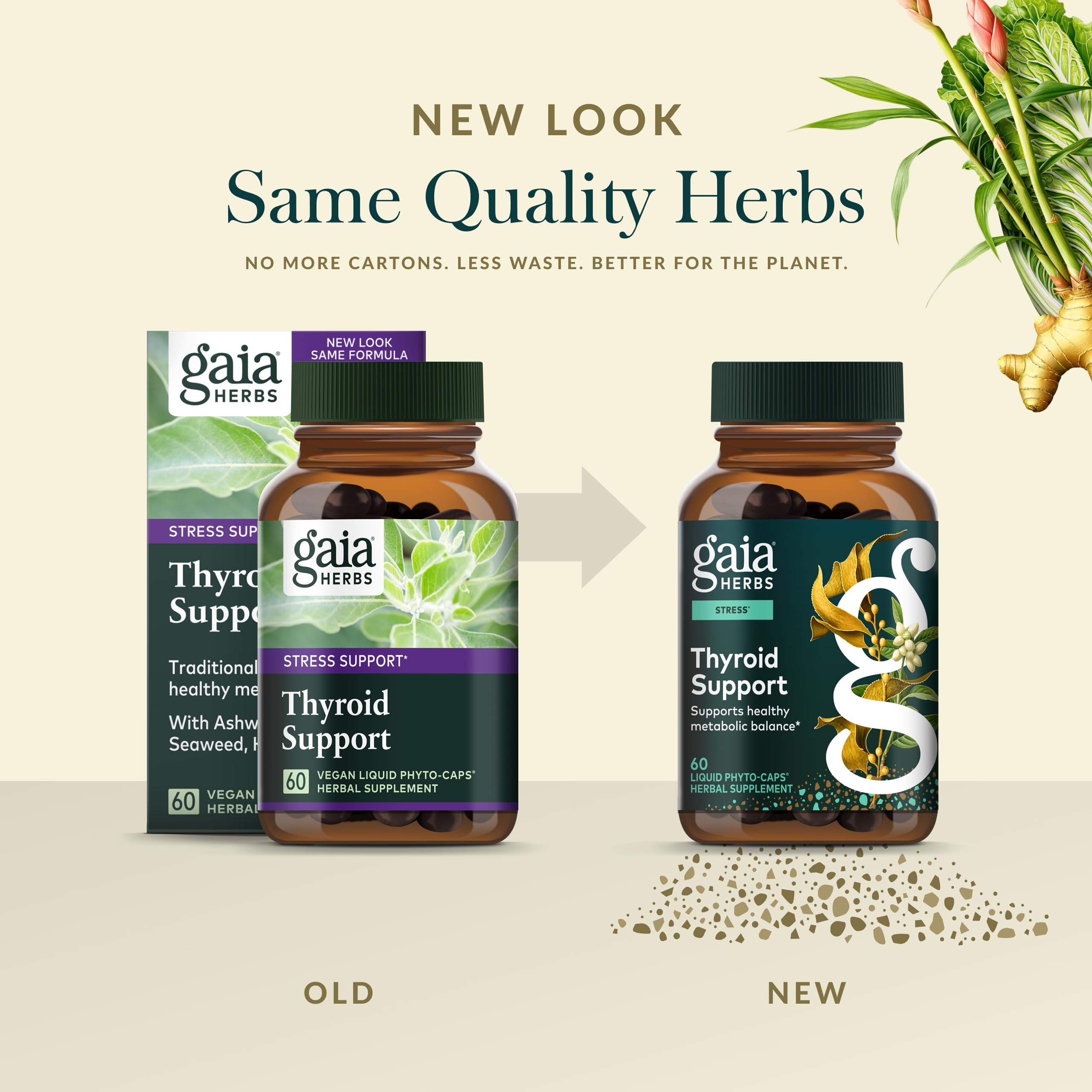 Gaia Herbs west coast Ireland kelp harvest emphasizes sustainable, high-quality ingredients.