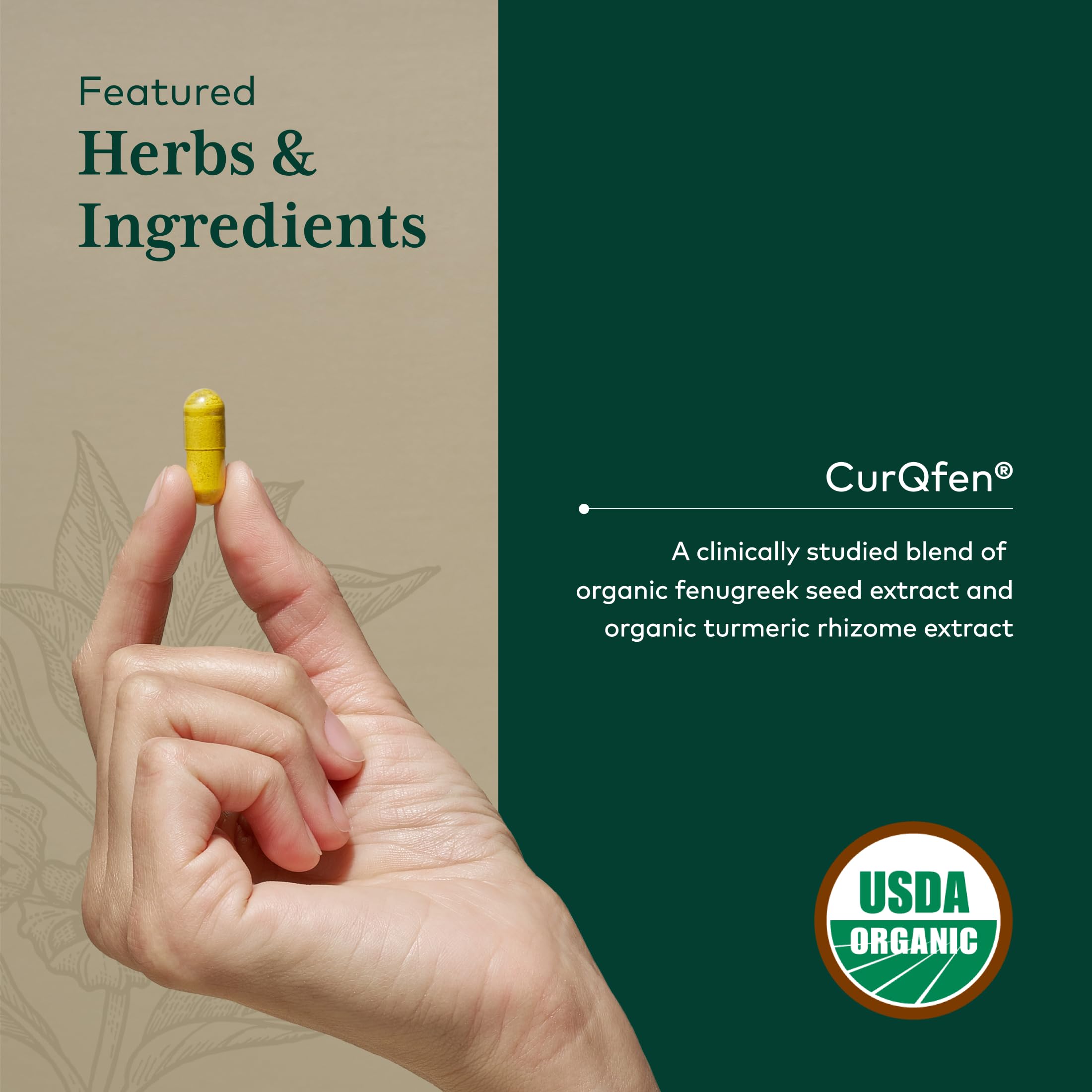 Clinically studied CurQFen illustration highlighting absorption support.