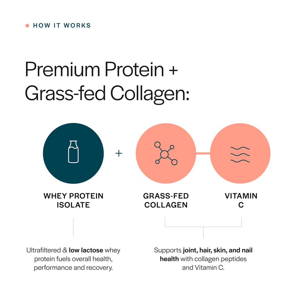 Gainful Collagen Whey Protein label closeup highlights grass-fed collagen peptides.