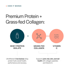 Gainful Collagen Whey Protein label closeup highlights grass-fed collagen peptides.