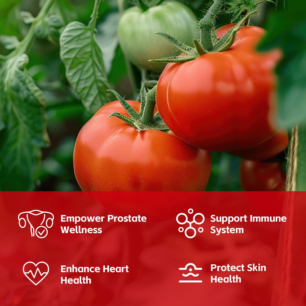 Close-up of GANOHERB lycopene capsules showing compact, easy-to-swallow design.