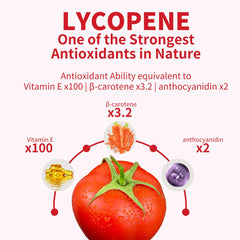 Organic reishi mushroom in GANOHERB formula highlighting immune-support potential.