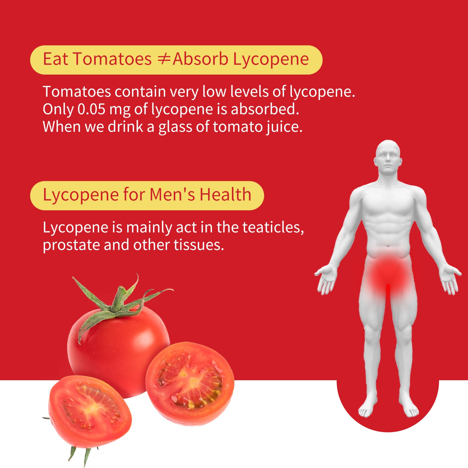 Tomato-derived lycopene from GANOHERB emphasizes natural origins for vitality.