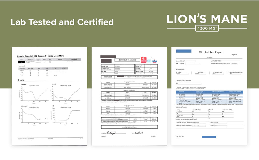 Garden of Herbz GMP-certified facility label signaling quality production.