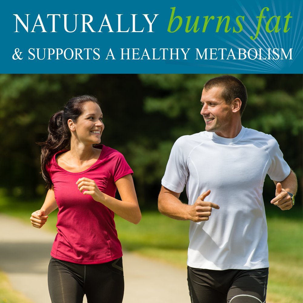 Garden of Life FucoThin bottle back shows dosage and ingredients.