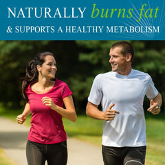 Garden of Life FucoThin bottle back shows dosage and ingredients.