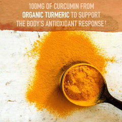 Fermented turmeric and ginger from Garden of Life for improved absorption