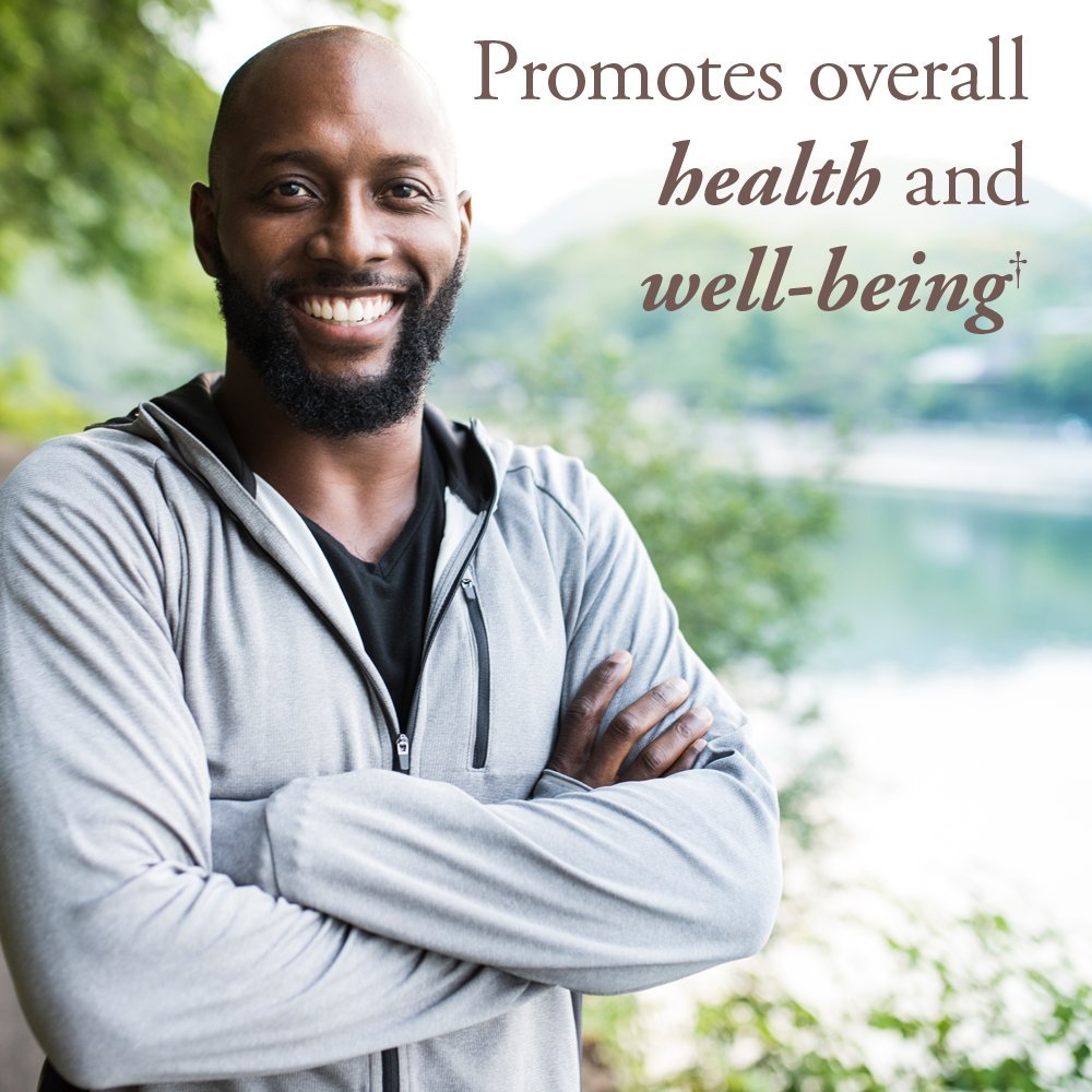 Garden of Life Organics Men’s Multi 40+ tablets ready for daily use