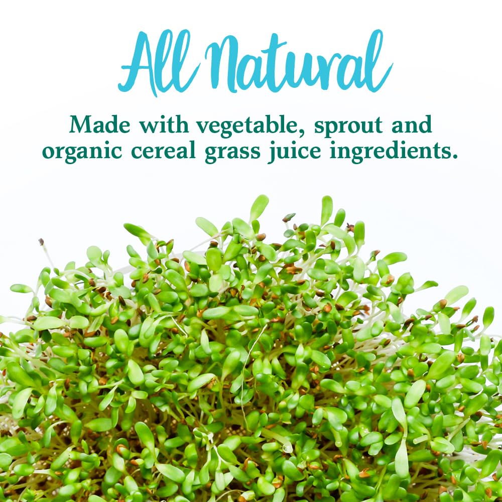 Garden of Life Perfect Food digestive-support texture shot implies smooth mix.