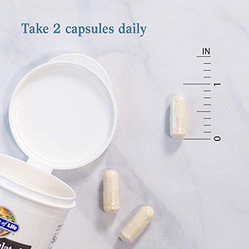 Garden of Life probiotic capsules highlight vegan and allergen-free features
