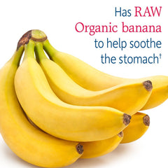 Garden of Life probiotic powder scoop dispensing image showing easy daily serving.