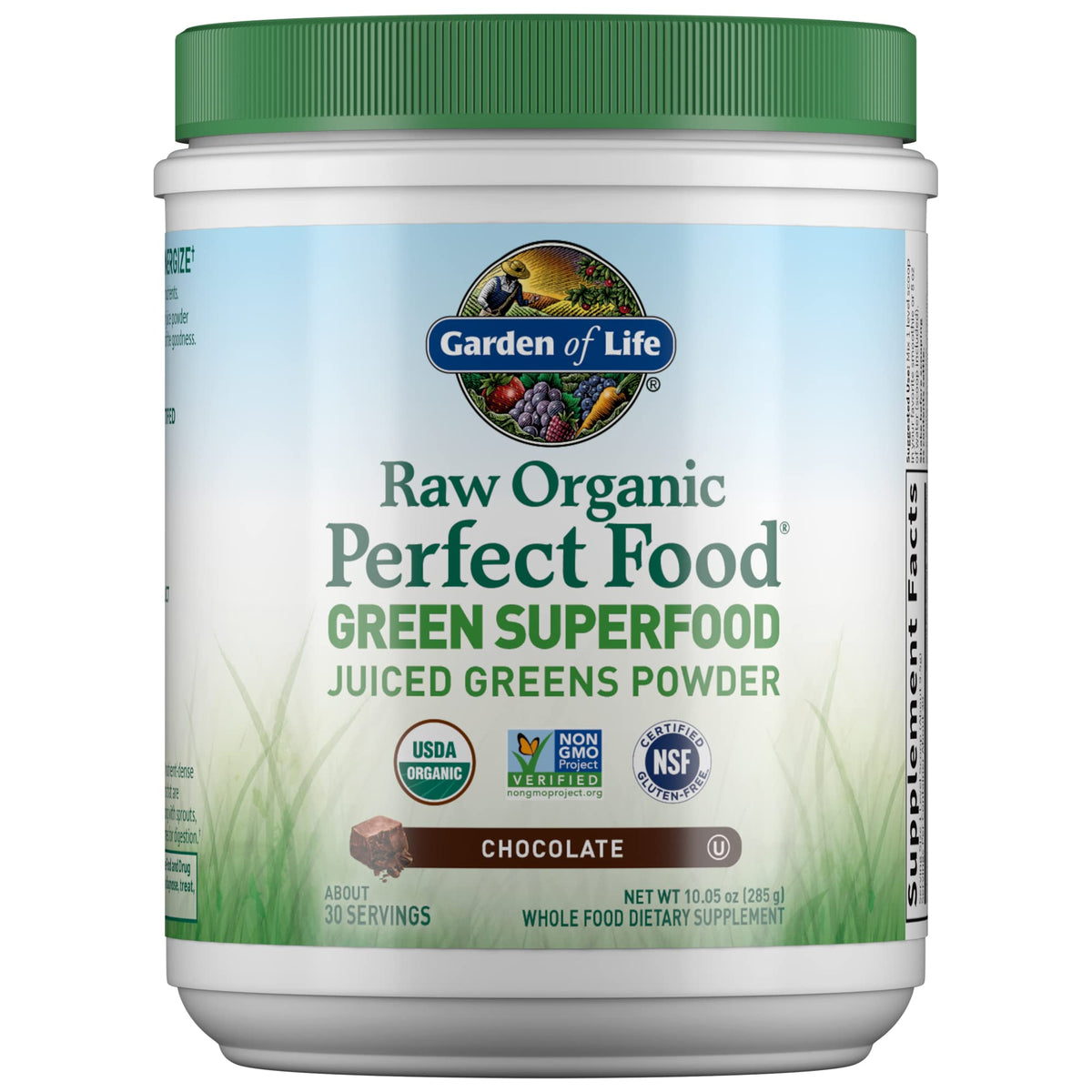 Garden of Life Raw Organic Perfect Food Green Superfood powder chocolate tub for daily greens.