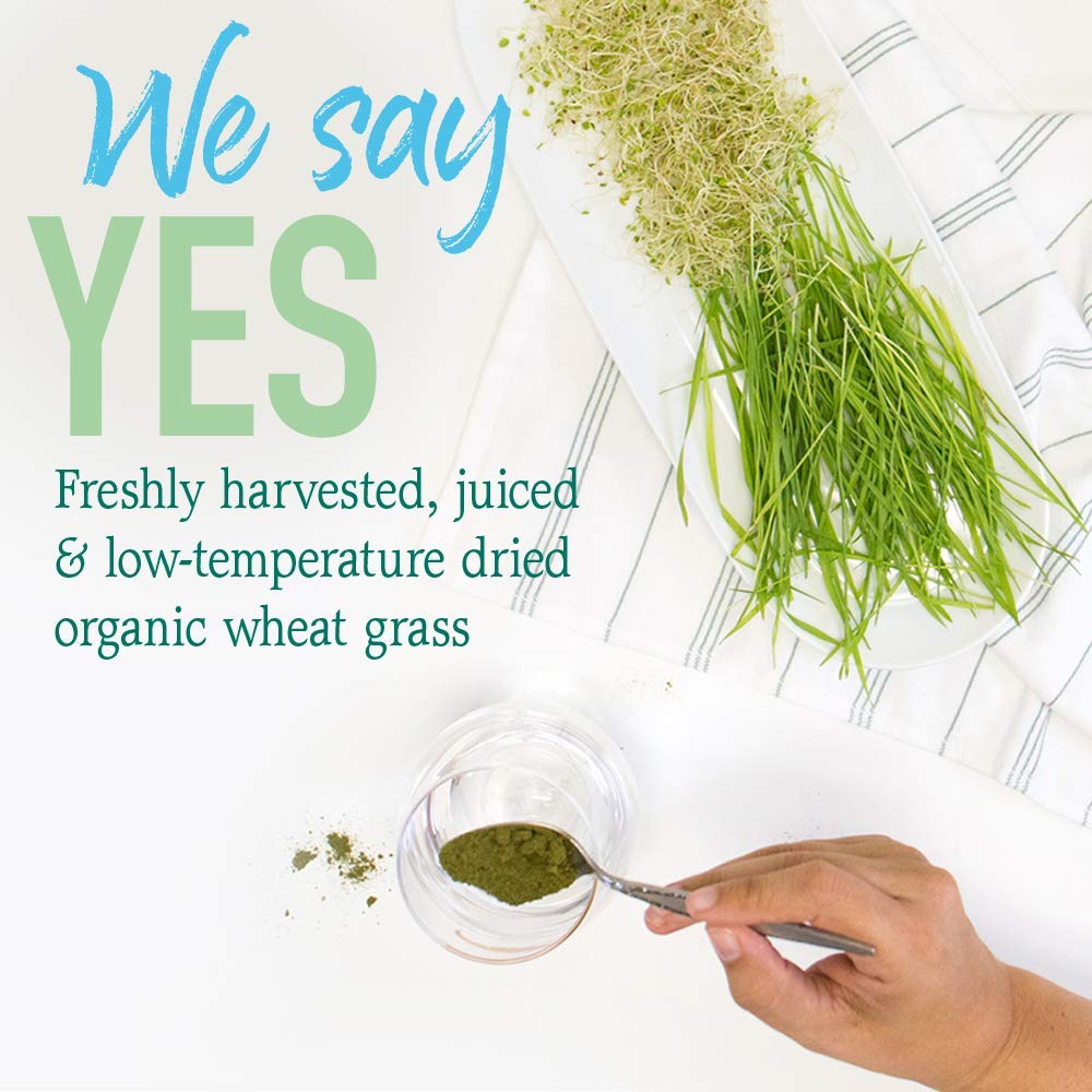 Garden of Life powder providing an instant green energy boost.
