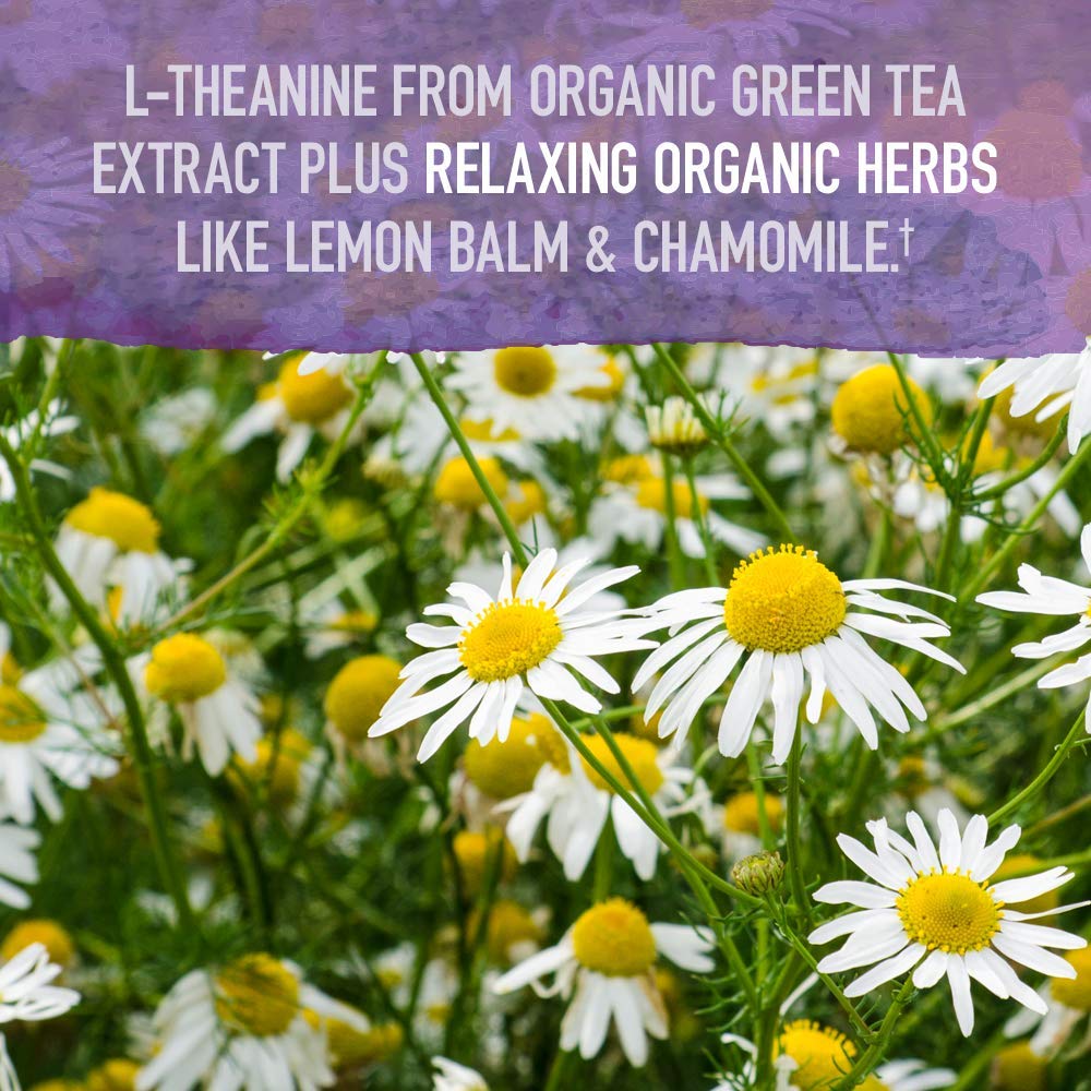 Garden of Life Sleep Well lemon balm ingredients highlight calming herbal blend.