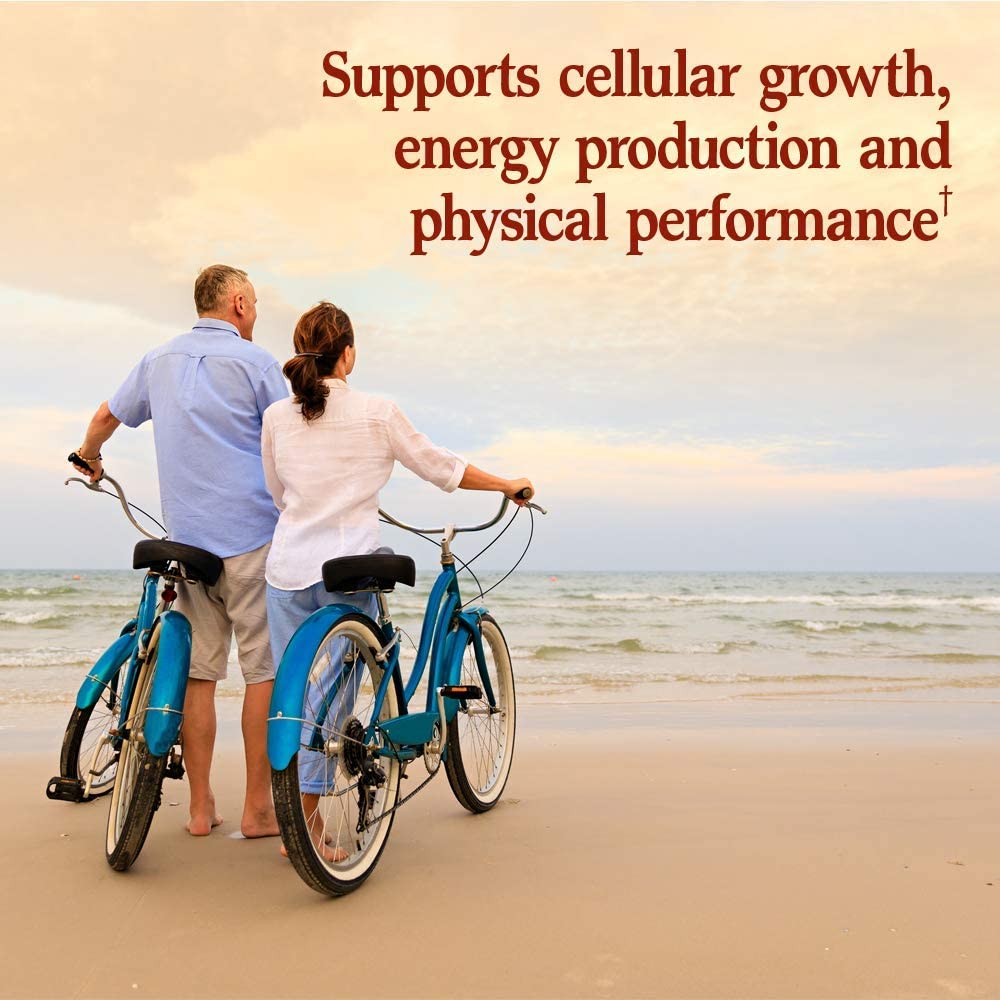 Garden of Life vegan gluten-free formula without binders or fillers.