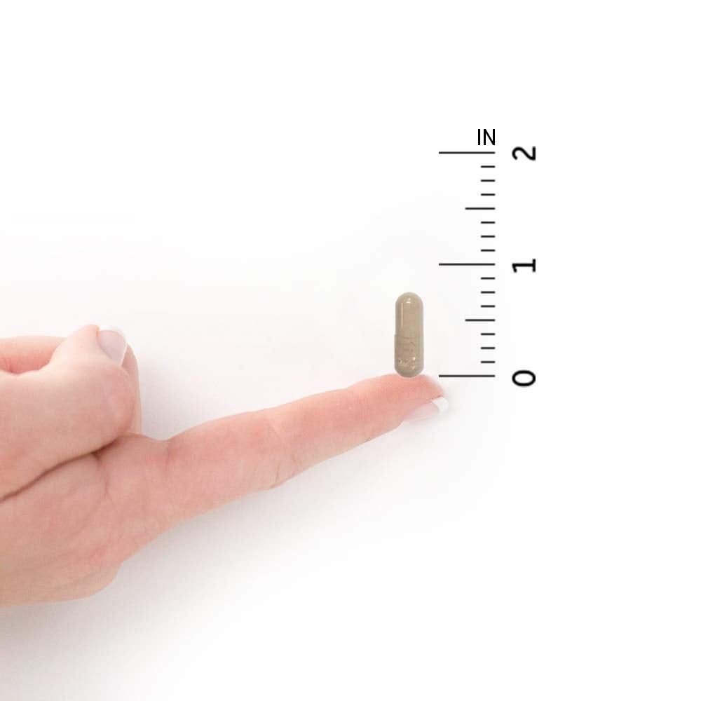 Digestive enzymes close-up reflect added support for digestion