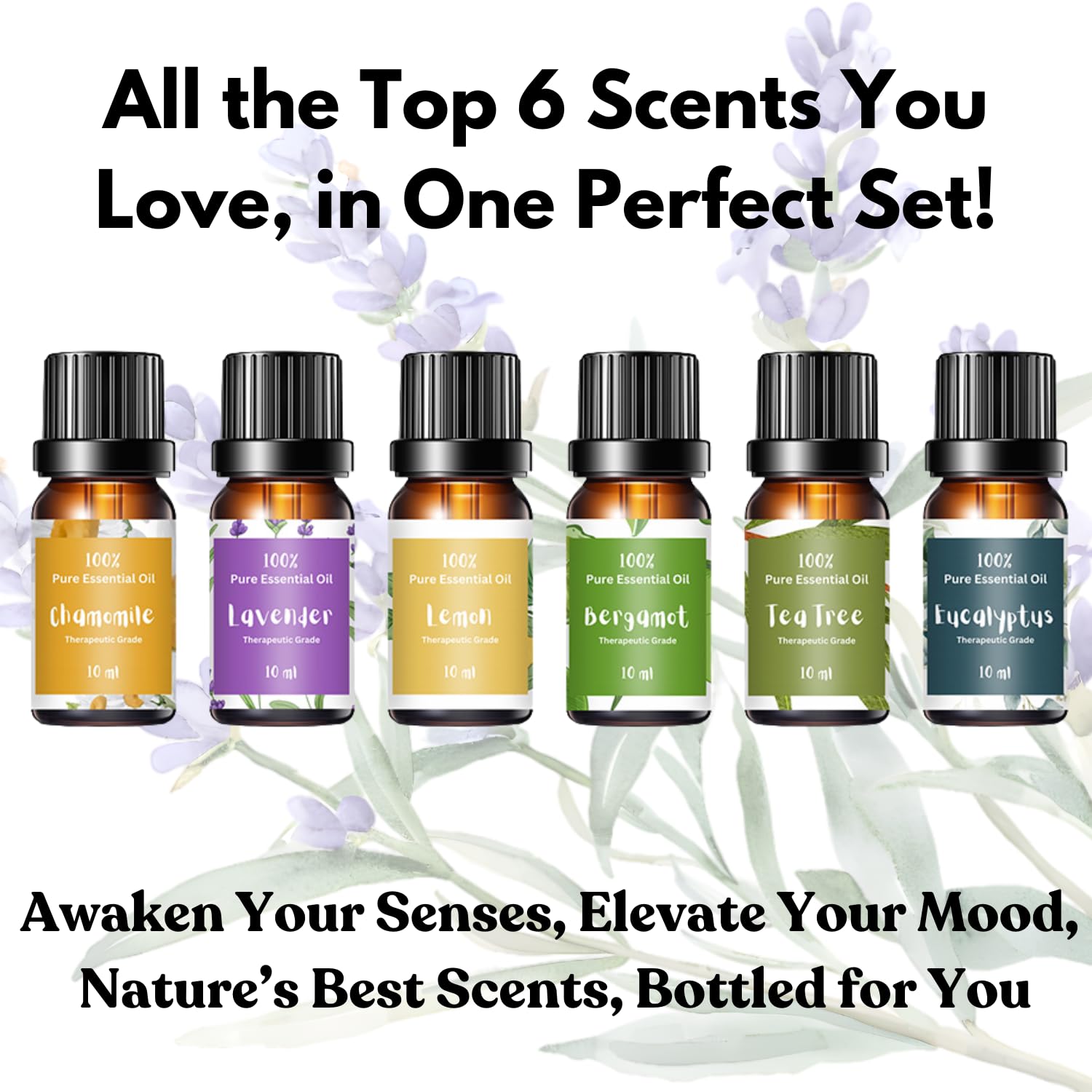 Gardma Tea Tree essential oil bottle for refreshing, natural fragrance.