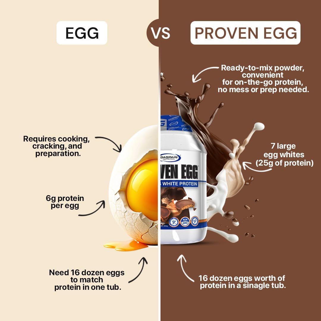 Gaspari Proven Egg powder closeup showing fine egg white texture for smooth shakes