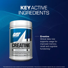 GAT SPORT micronized creatine for fast solubility and easy mixing.