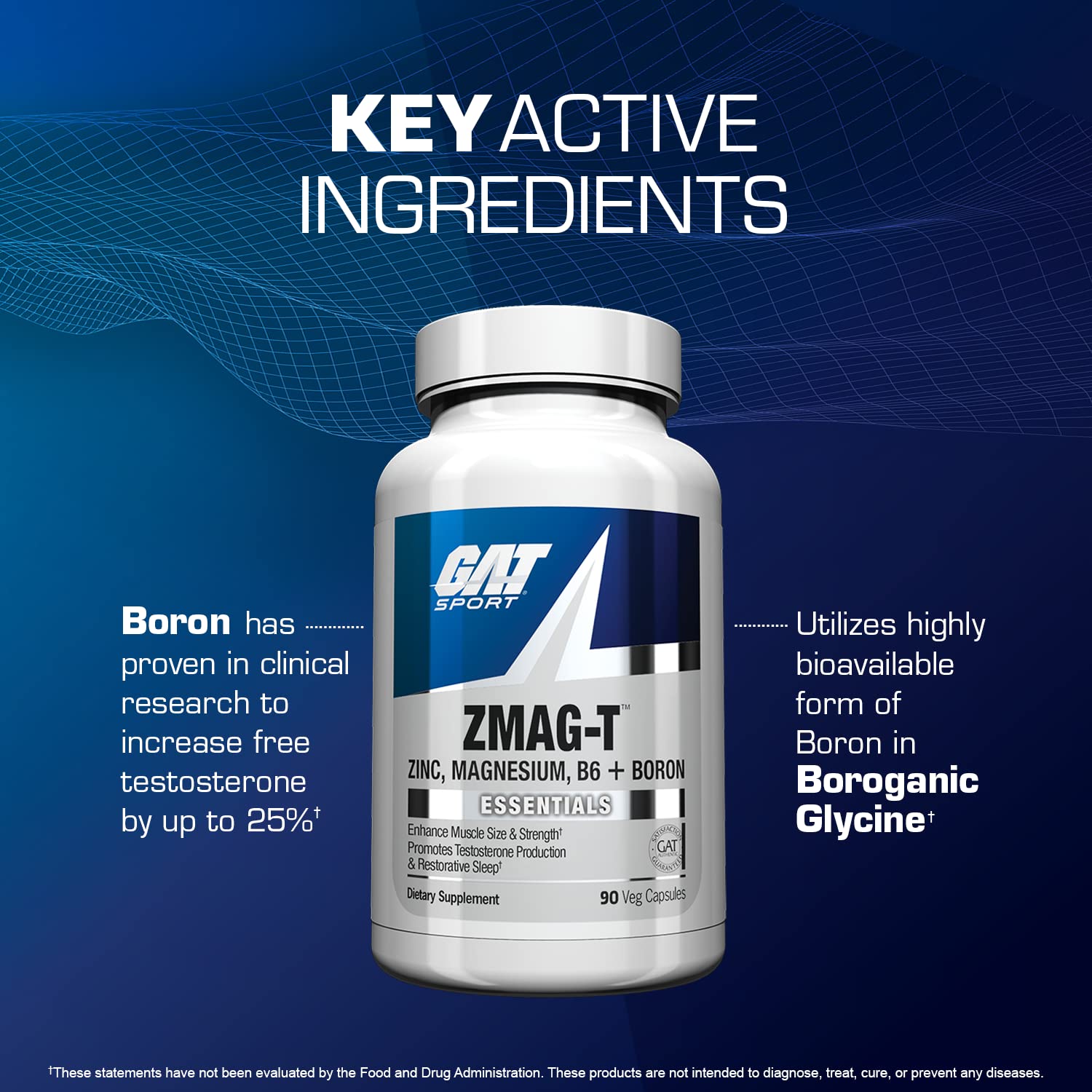 GAT Sport ZMAG-T serving scoop with capsules for daily use