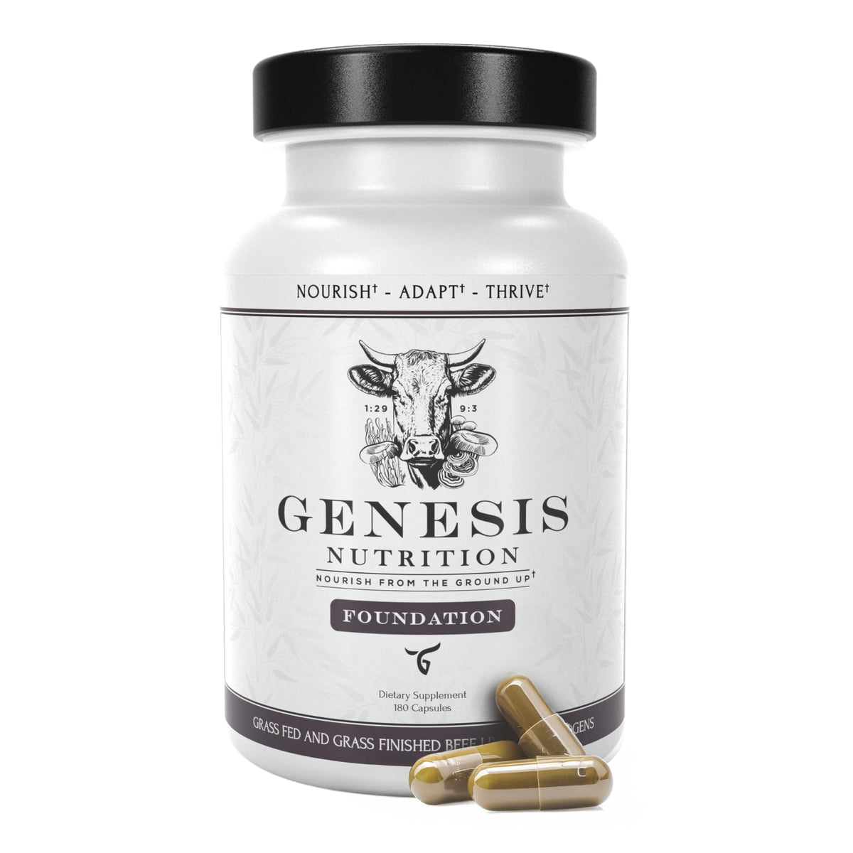 Genesis Nutrition beef liver bottle close-up for daily energy support