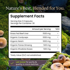 Genesis Nutrition beef liver scoop highlights convenient daily usage