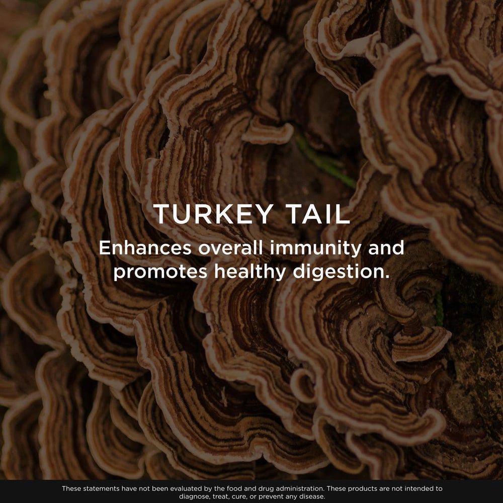 Ingredients section featuring organic turkey tail mushrooms in plant-based formula.
