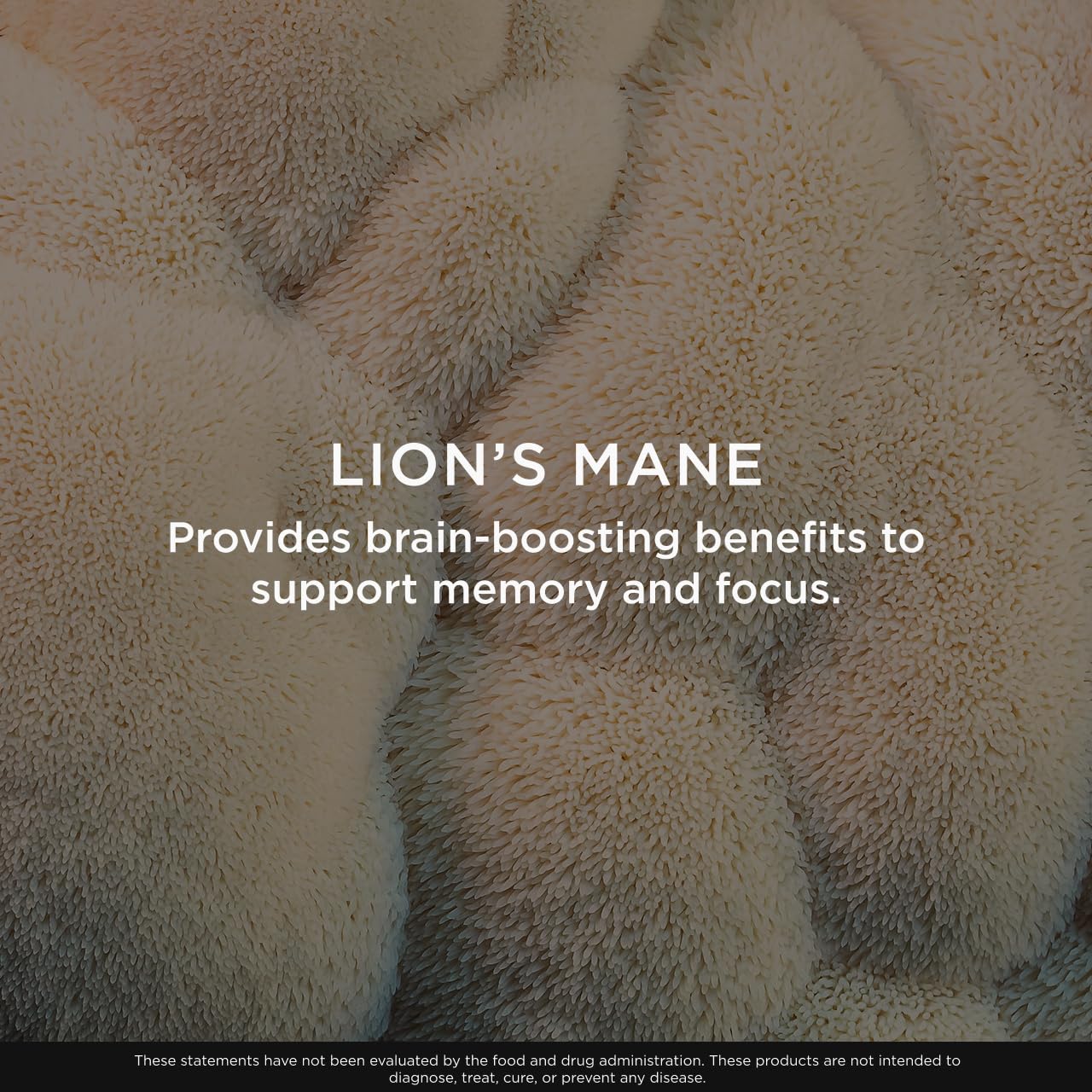 The Genius Brand Lion's Mane Soft Chews serving beside a laptop for study sessions.