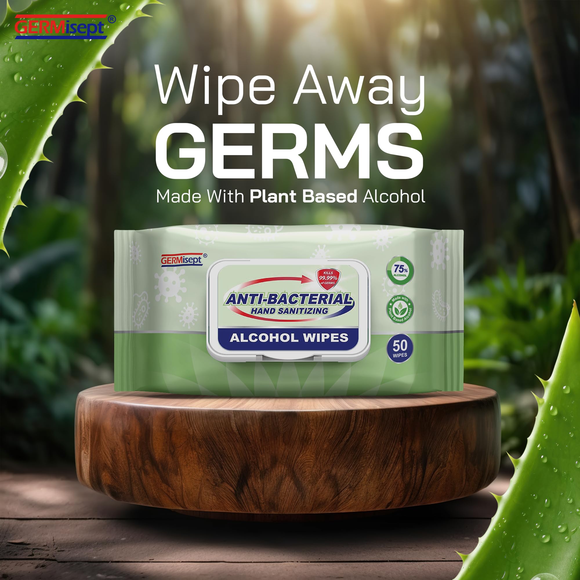 Germisept 4-pack with 50 wipes per box for family use