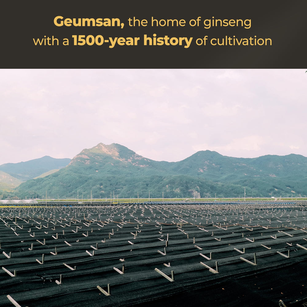 GeumHeuk packaging Geumsan ginseng emphasizes heritage and careful sourcing.