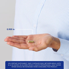 GI Fortify psyllium flax fiber visual suggests colon-friendly soluble fiber.