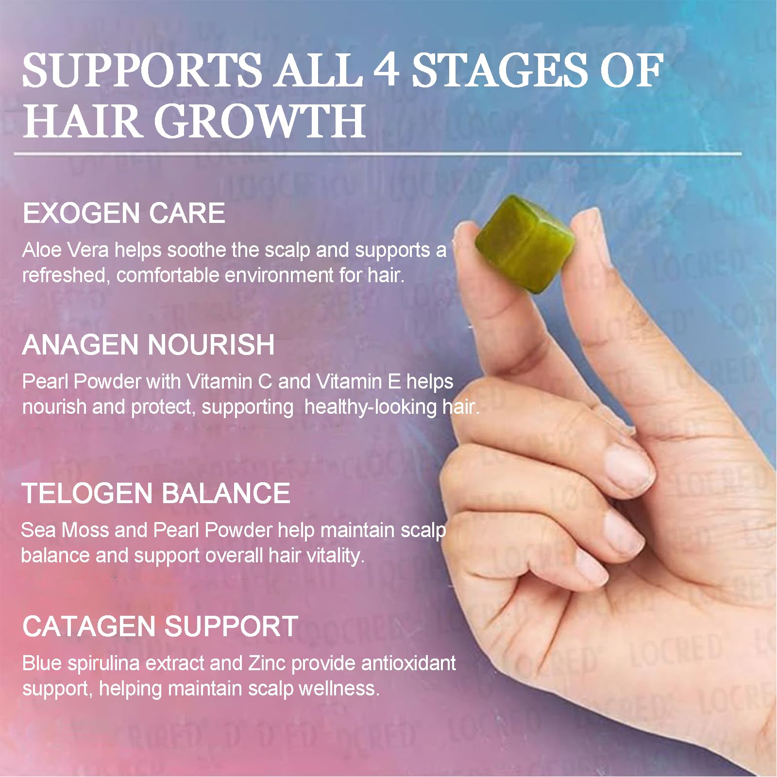 Giamau Blue Spirulina Antioxidant supports daily defenses against environmental stressors for hair vitality.